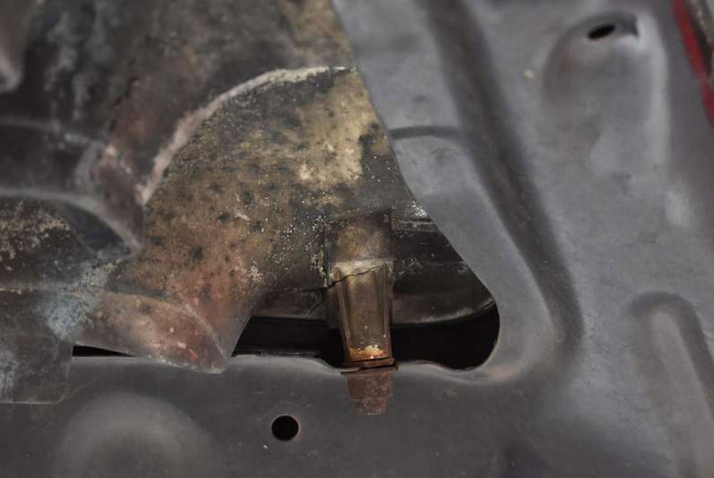 фото №14, Капот крышка двигателя 1e2 toyota avensis verso 01-03