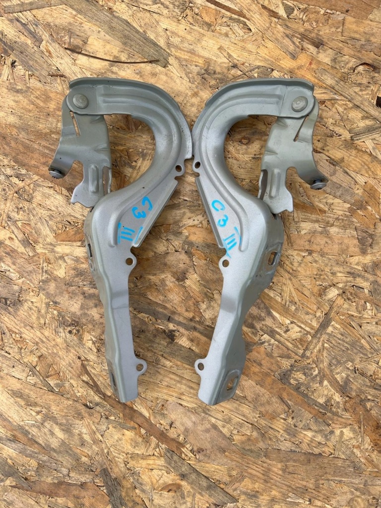 фото №1, Citroen c3 iii петлі капот eeud