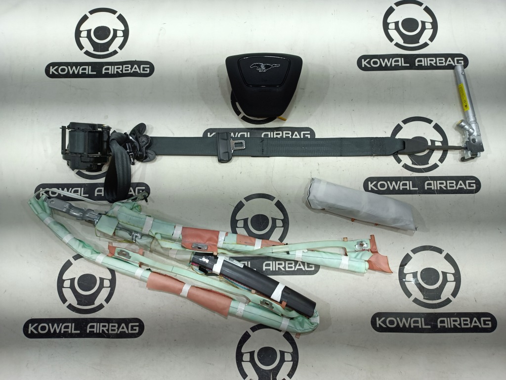 фото №1, Ford mustang mach-e 2022 подушка безпеки подушки безпеки pas napin