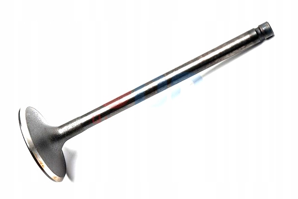 фото №4, Клапан всасывающий oyodo