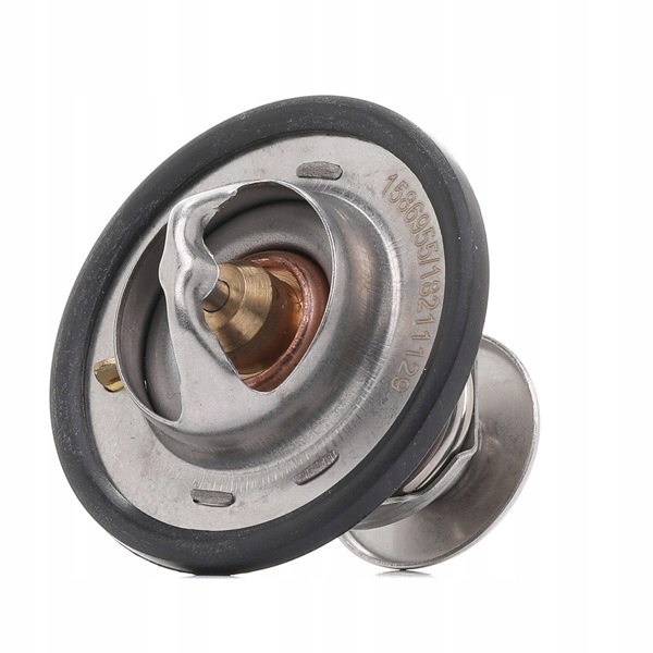 фото №1, Термостат ridex 316t0543