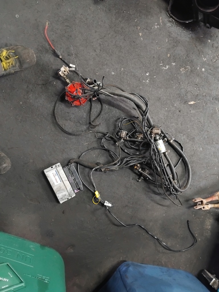 Купити Ac stag-300-6 електропроводка lpg передня частина