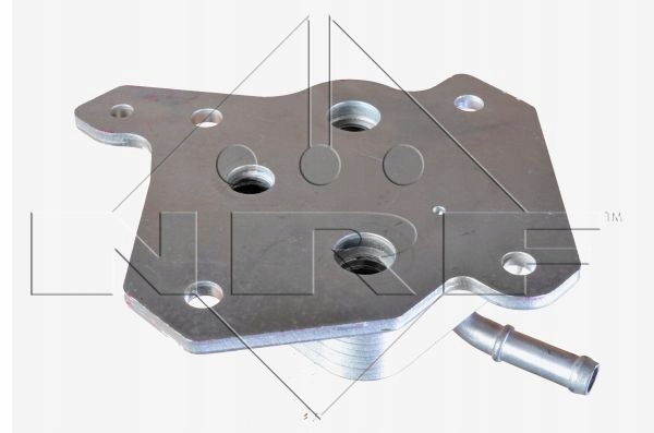 Nrf 31317 радіатор оливи, олія двигунний Зі Шроту