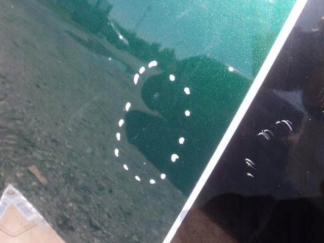 фото №4, Капот комплектная mini cooper f56