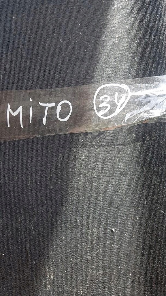 фото №2, Полка багажника alfa romeo mito