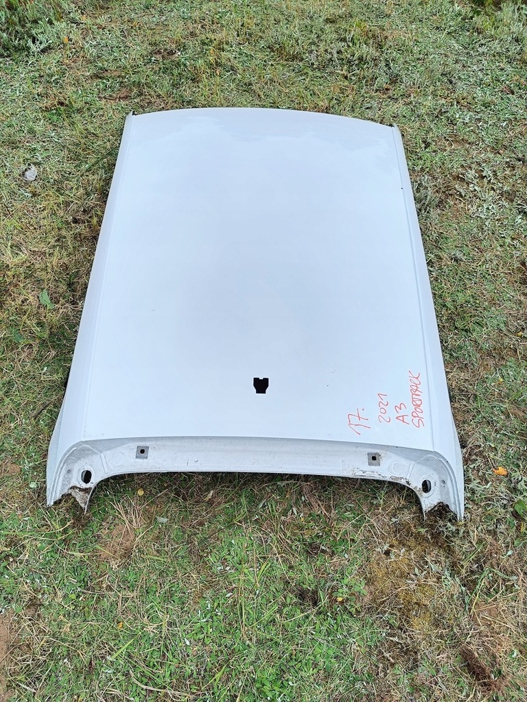 фото №3, Audi a3 8y sportback дах