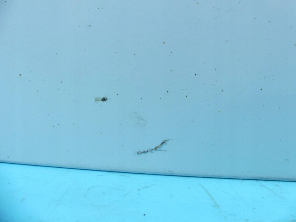 фото №12, Дверь перед левая peugeot 307 3d белый 3-дверь