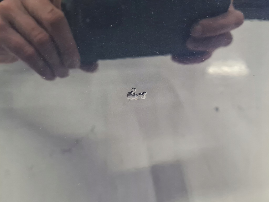 фото №7, Bmw 5 f10 дверь правый задняя a89