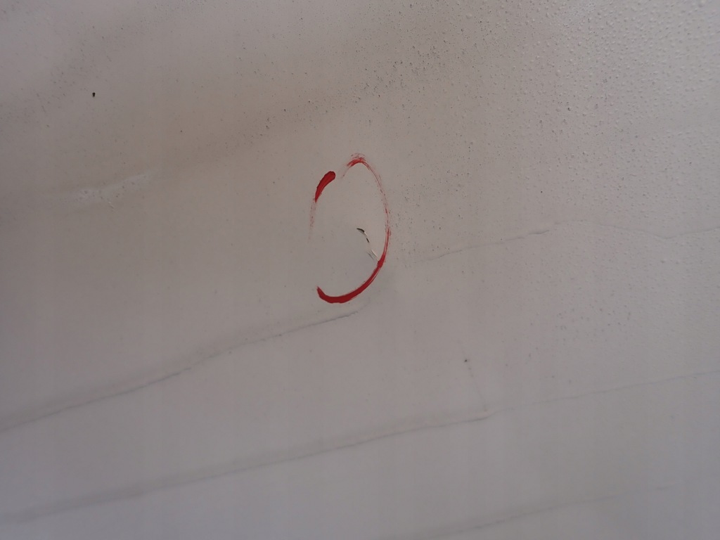 фото №5, Peugeot boxer ii 06- двері задня ліва задні дверцята