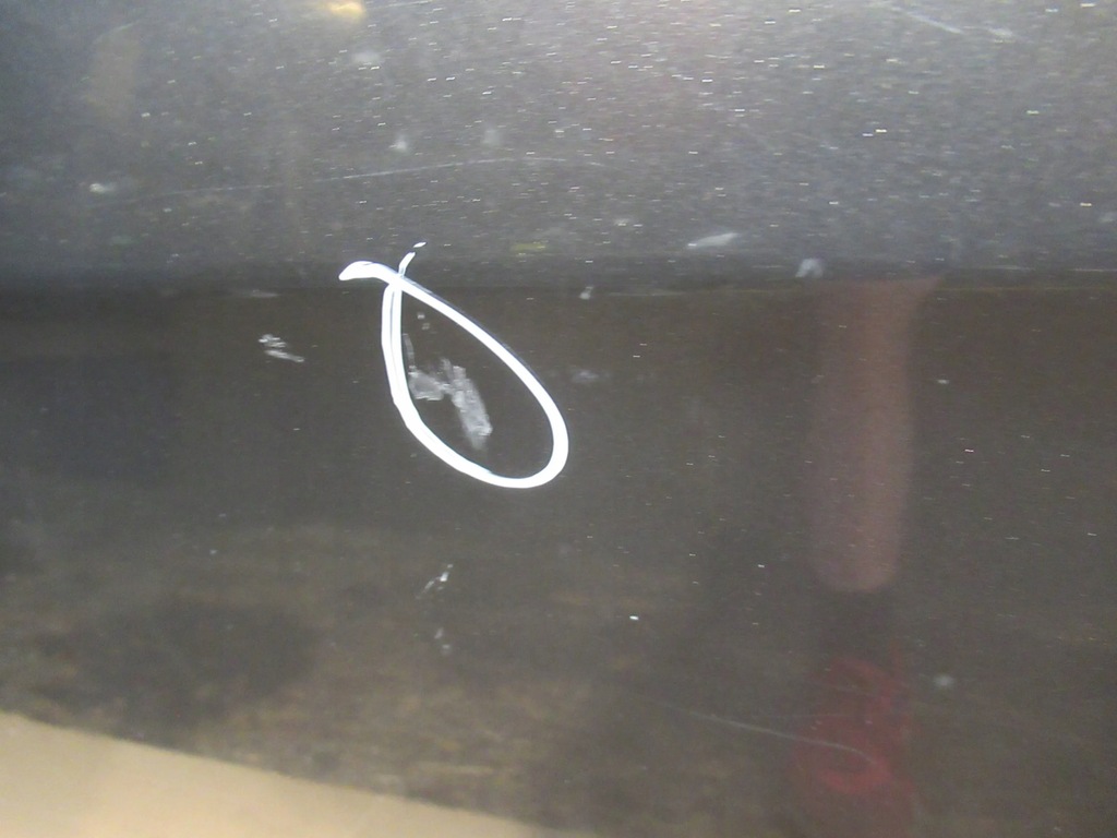 фото №6, Дверь задняя левая fiat bravo ii 07-14