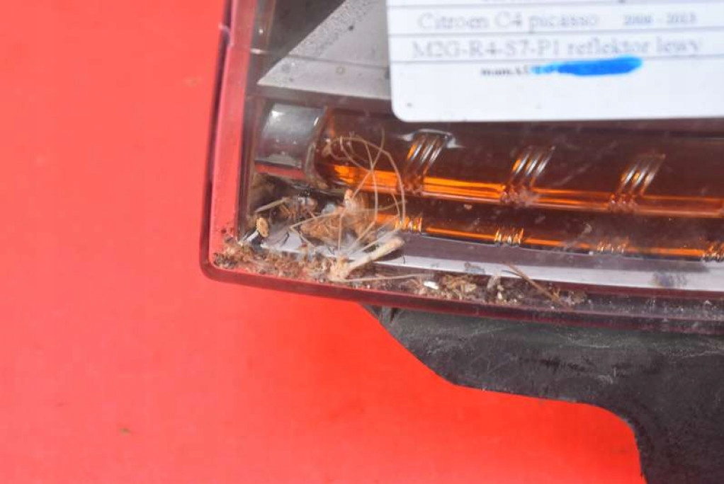 фото №14, Фара левый лампа перед ксенон eu 162983-00 citroen c4 picasso 1 i 06-13