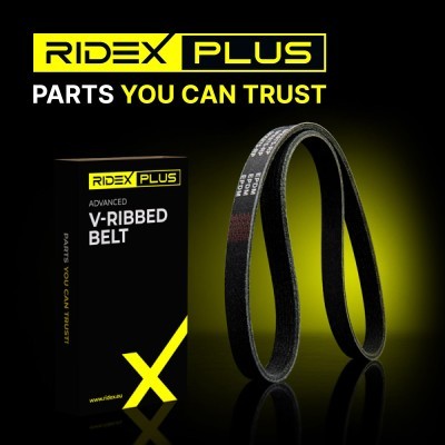 Ремінь клиновий багатореберний ridex 305p0503p Ціна