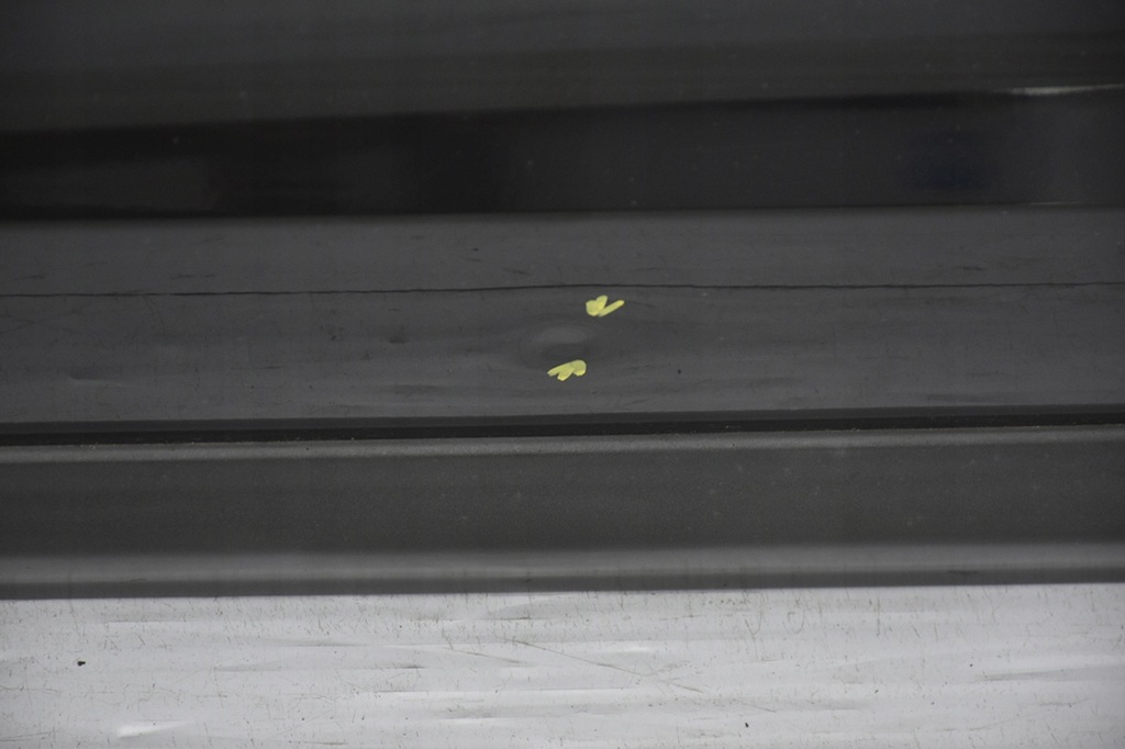 фото №3, Двері передні перед ліва hyundai santa fe ii eb