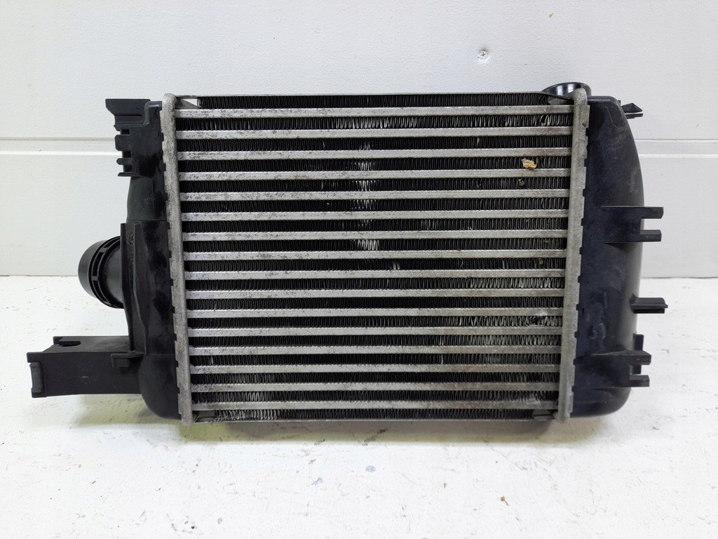 фото №1, Renault dacia интеркулер 144967634r