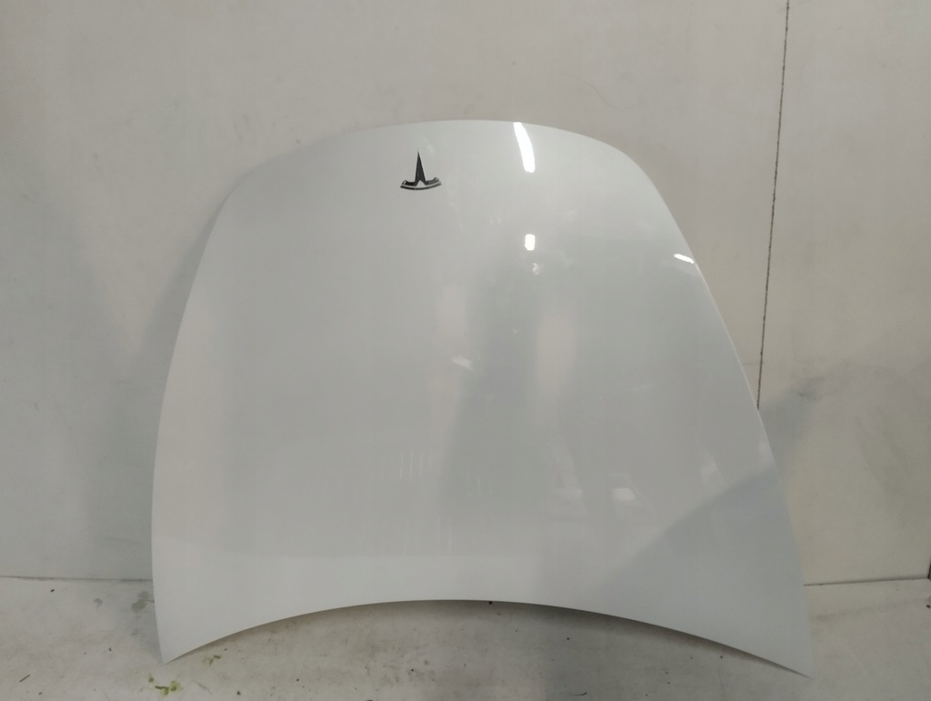 фото №5, Tesla 3 капот ppsw