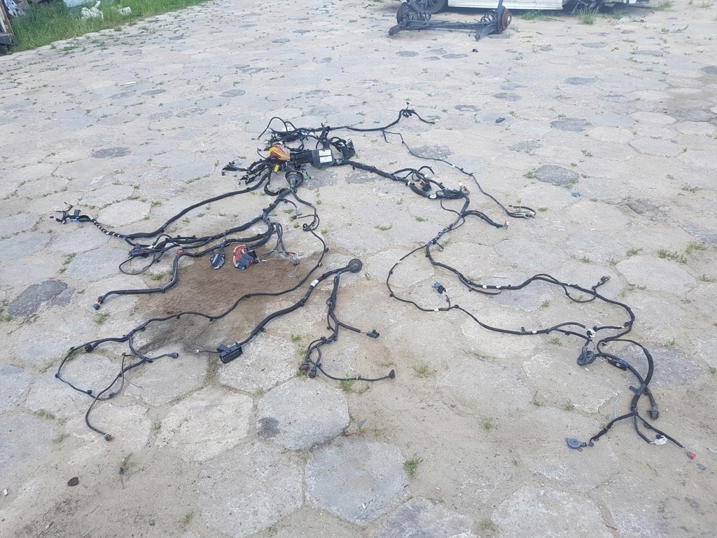 фото №1, Жгут электропроводка renault trafic iii