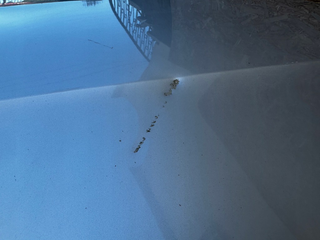 фото №13, Skoda octavia iii капот крышка двигателя 5e0