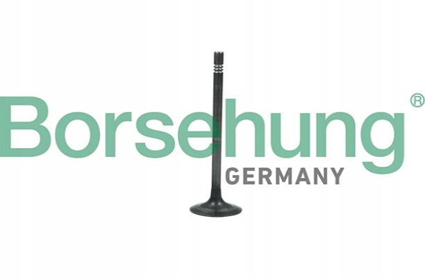 фото №1, Клапан выпускной borsehung do vw golf vii 1.6