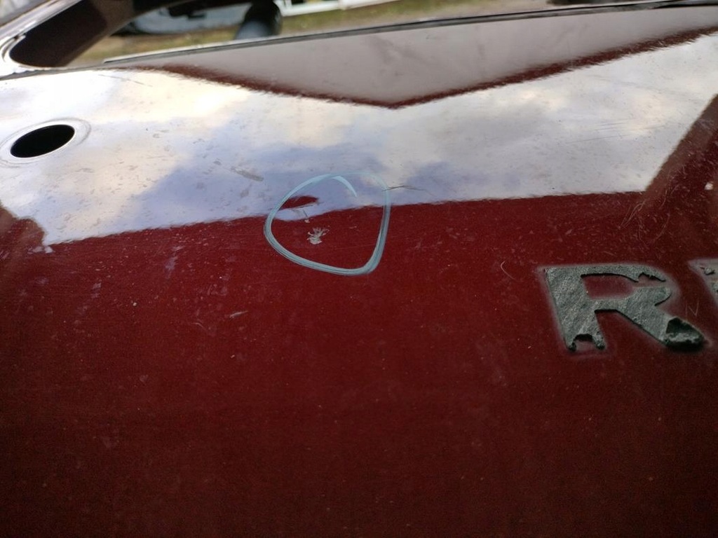 фото №5, Двері правий задня праве задні renault trafic iii