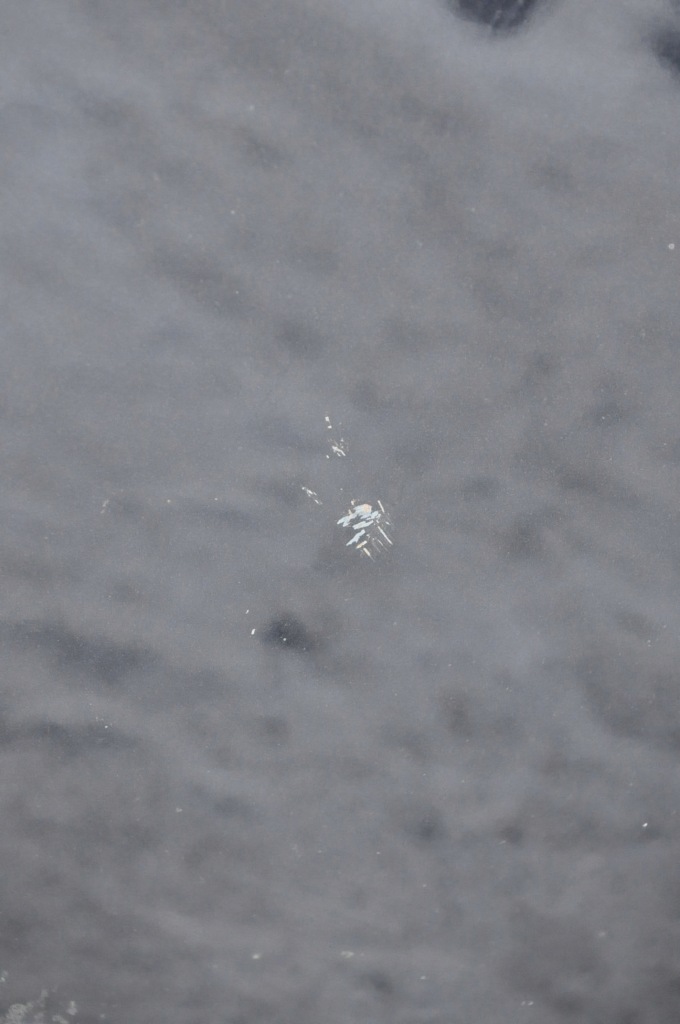 фото №11, Volvo xc90 капот крышка отсек двигателя