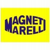 фото №13, Пружина газова, кришка багажника magneti marelli 430719012500