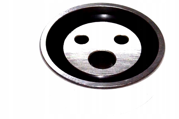 фото №2, Fast ft44093 ролик натягувача, ремінь розподільного валу