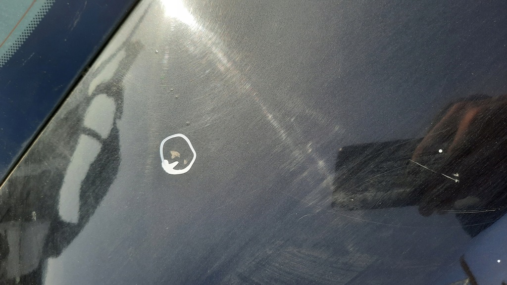 фото №7, Задняя крышка багажника renaault scenic ii 03-05r