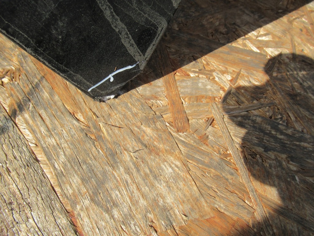 фото №6, Крышка багажника задняя renault laguna coupe