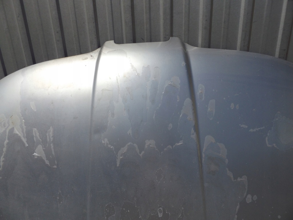 фото №3, Leon i капот