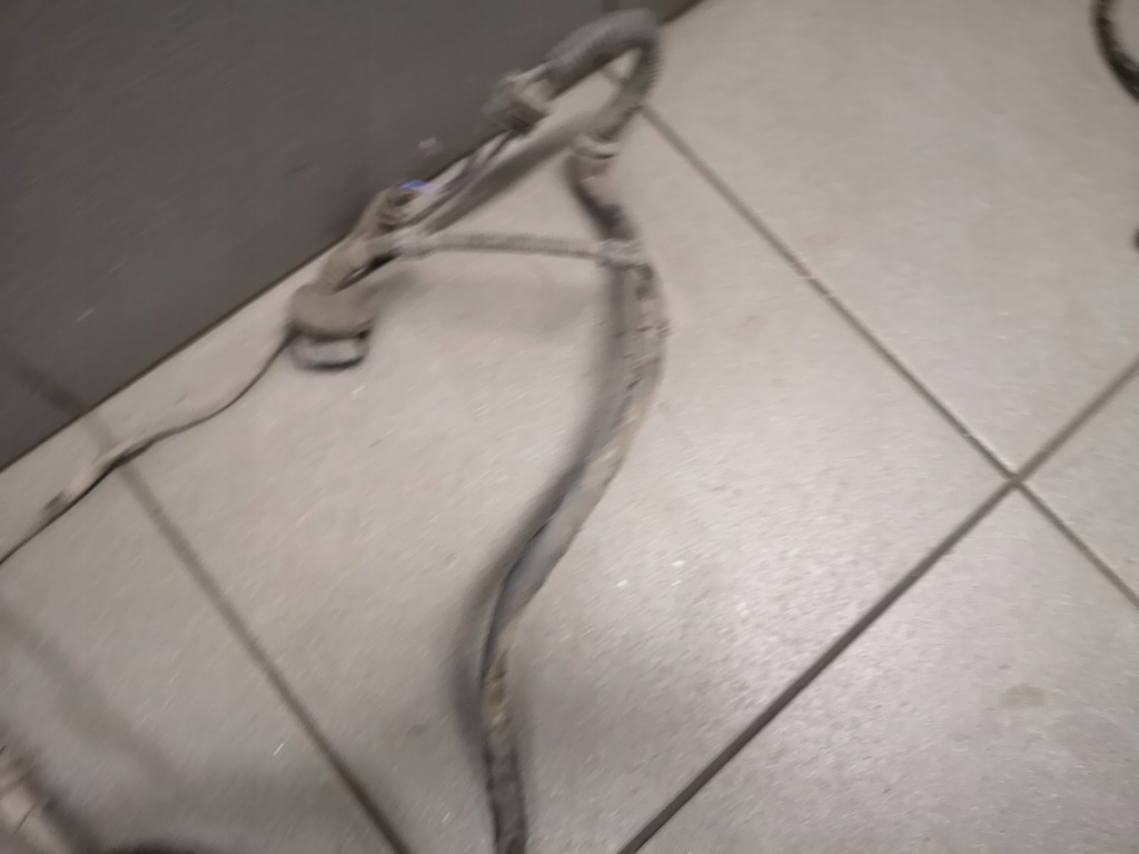 фото №5, Жгут abs задняя vw phaeton 3.0 tdi 3d0927904m