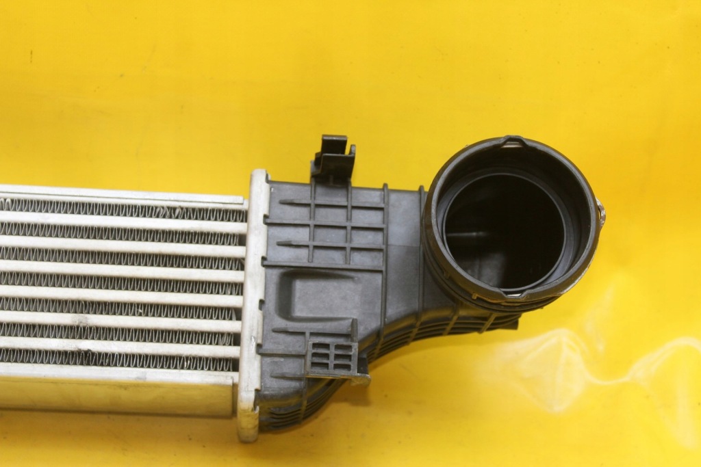 Интеркулер 3.0 cdi mercedes cls w219 в Украине