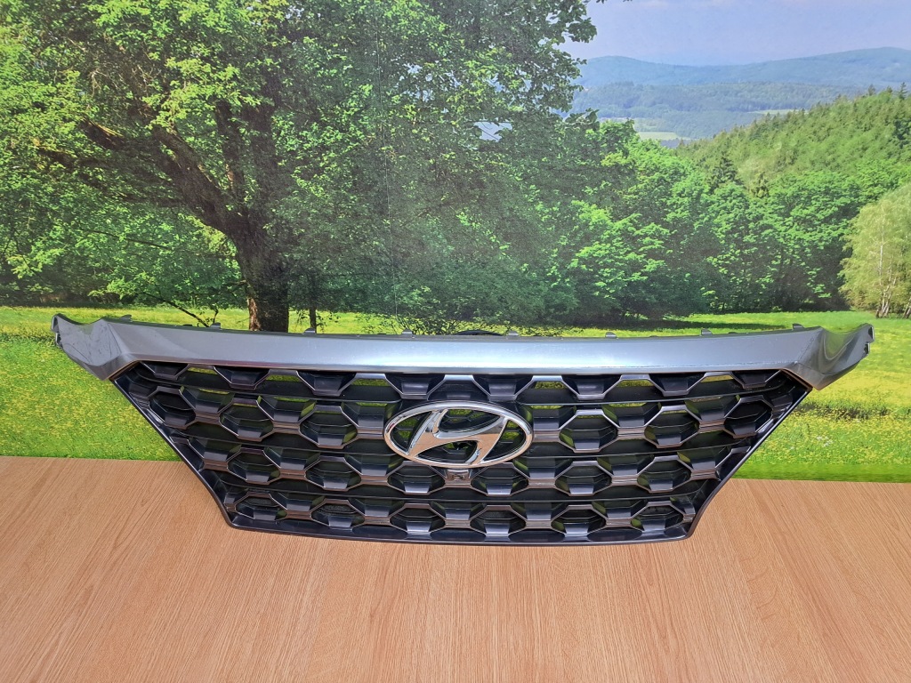 фото №4, Hyundai santa fe iv решётка радиатора