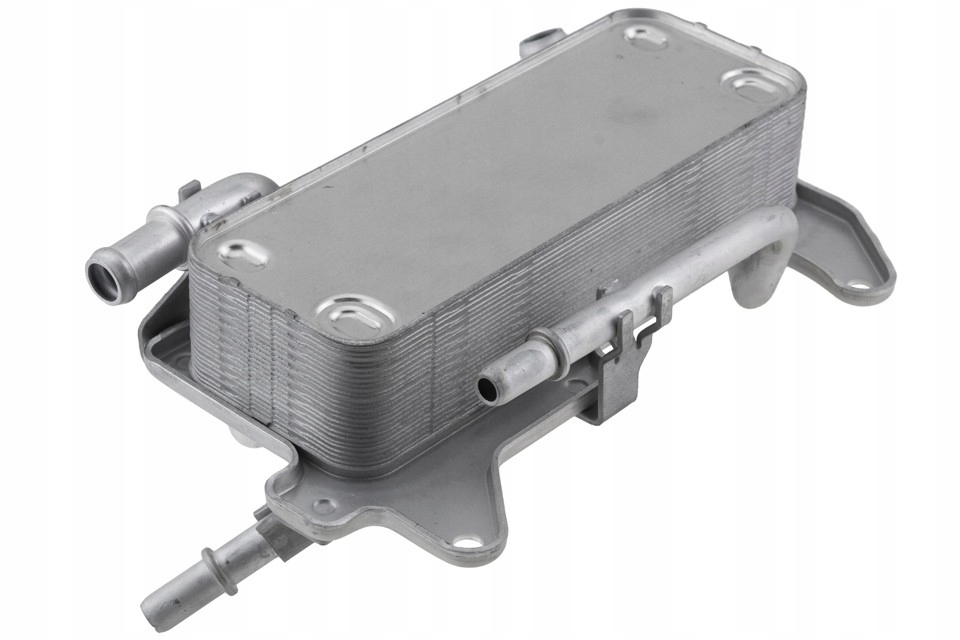 фото №1, Nty ccl-au-072