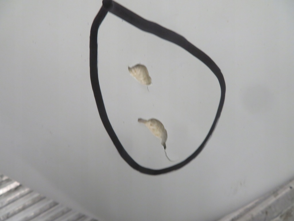 фото №5, Спойлер ветровик mercedes sprinter 906