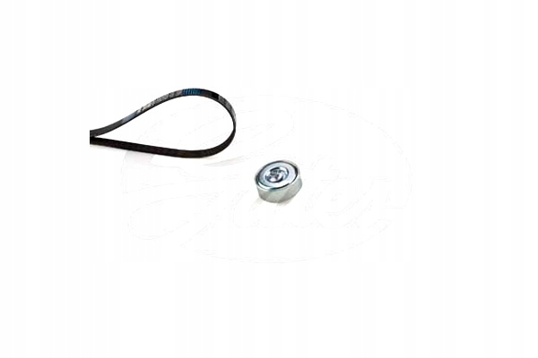 фото №1, Набор ремни многоручейковых с ролики citroen jumper fiat ducato