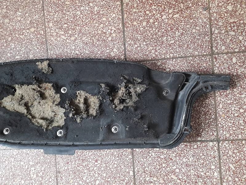 фото №6, Жабо защита opel zafira