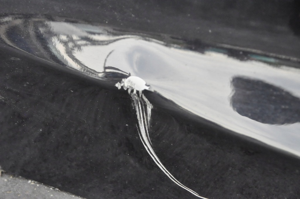 фото №11, Ford fiesta mk8 дверь правый правое задняя задние