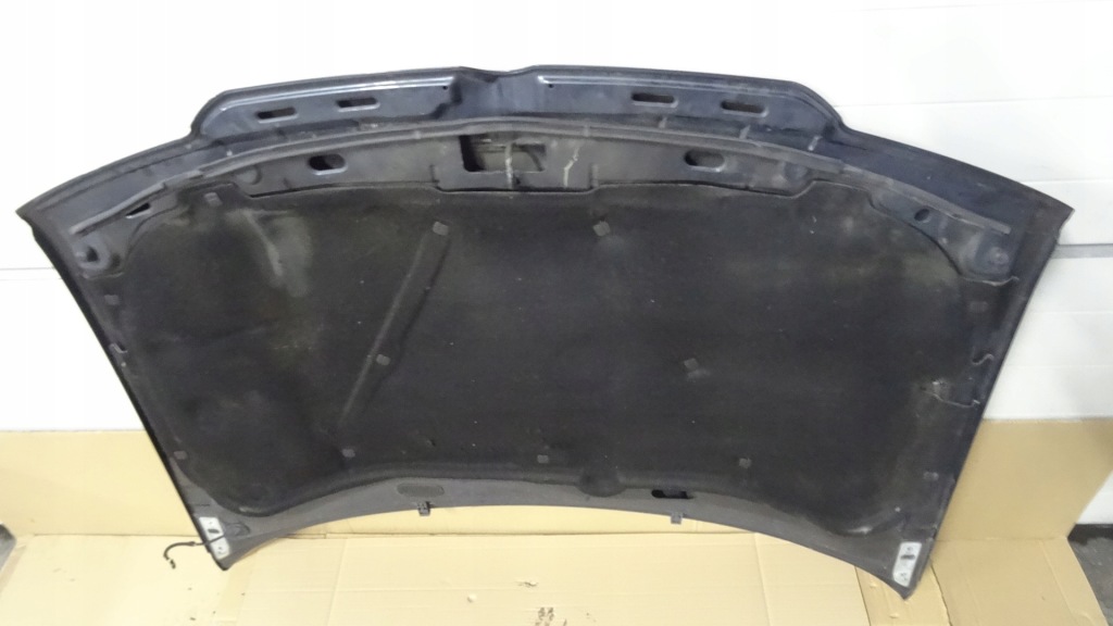 фото №10, Bora капот