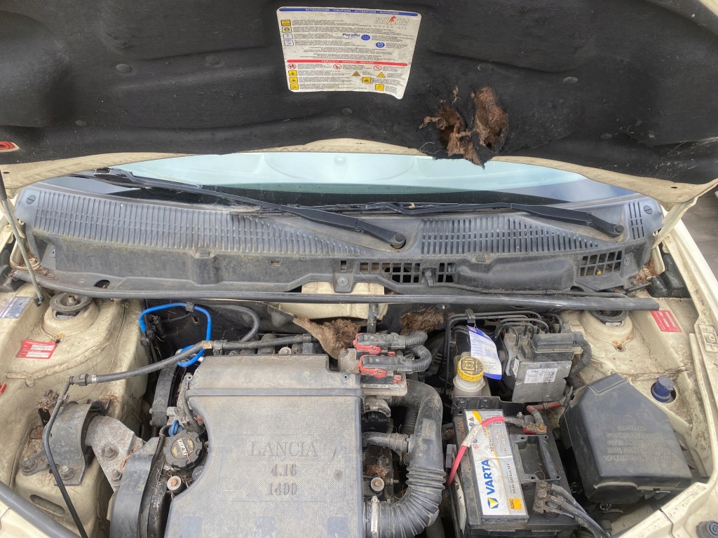 Купити Lancia ypsilon 03-09 жабо