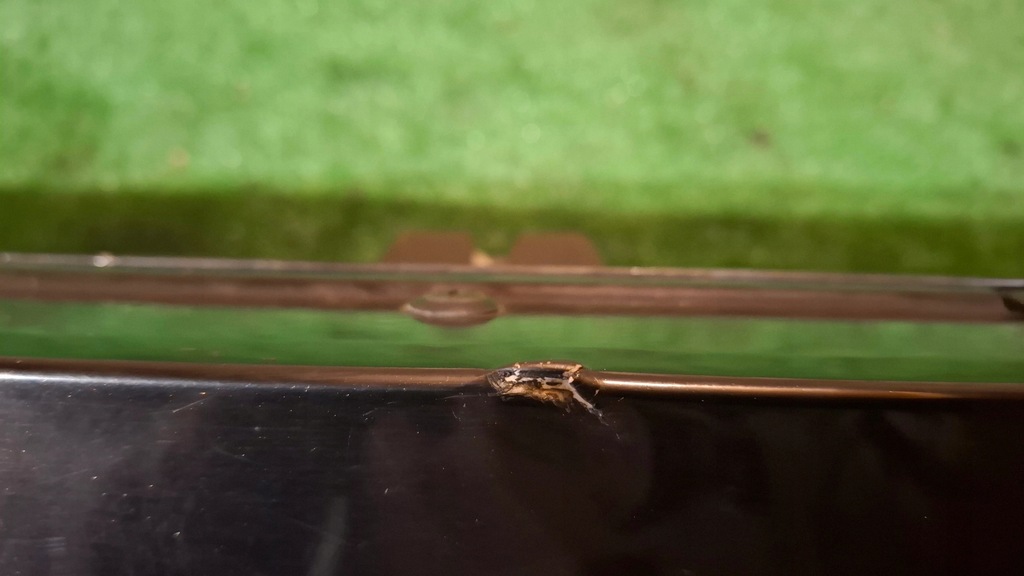 фото №14, Крышка багажника багажника ford s-max mk1 lift 10/15