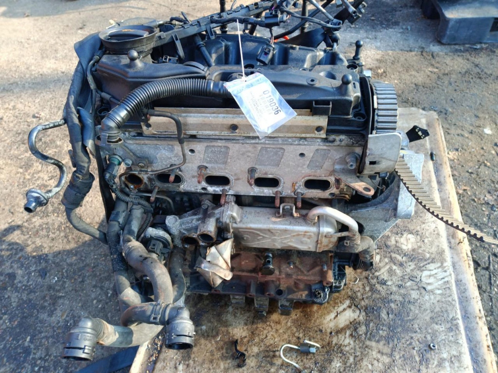 фото №8, Vw seat skoda audi 1.6 tdi двигун дизель cayc