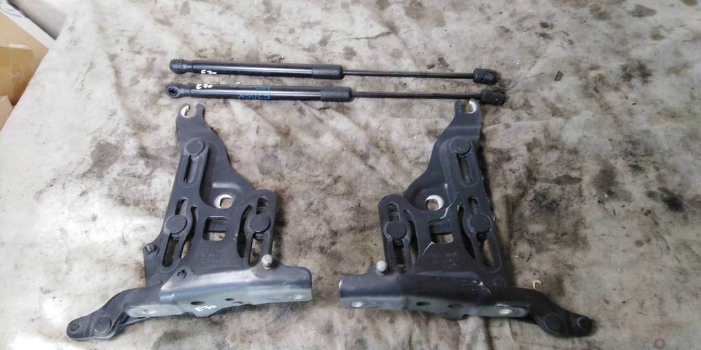 фото №1, Bmw x5 e70 петлі амортизатори капот l/p kompl 475/9