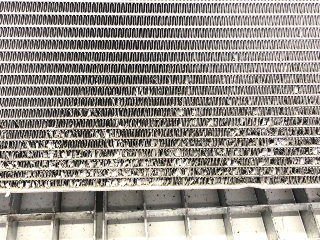 фото №5, Радиатор wody renault scenic iii 1.6 130km 214100017r