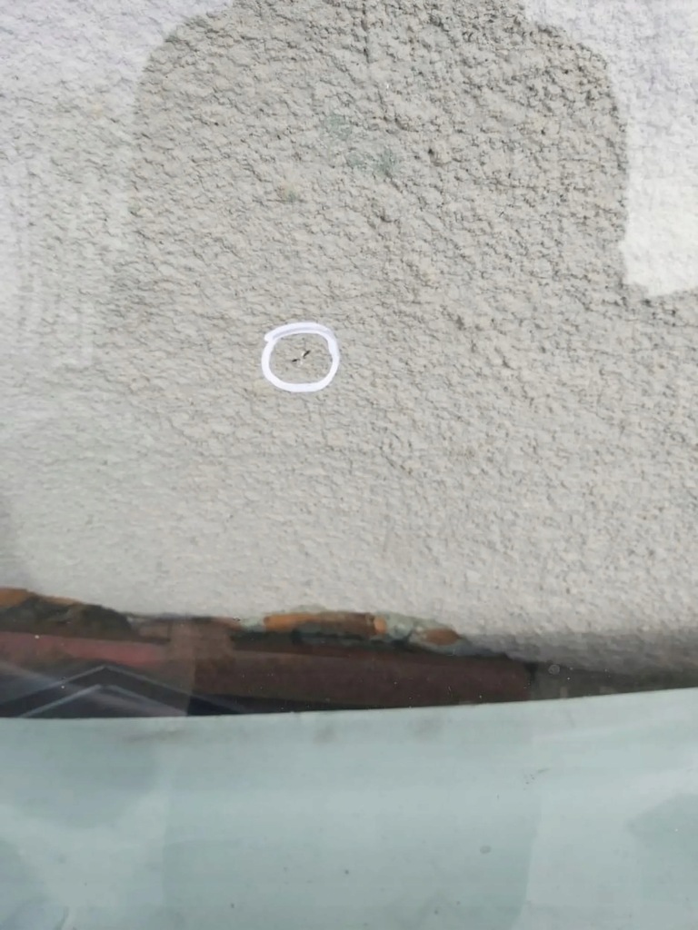 фото №5, Opel astra h iii стекло лобовое перед