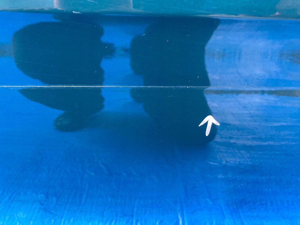 фото №7, Дверь правое задние vw golf vii 7 kombi 5g9