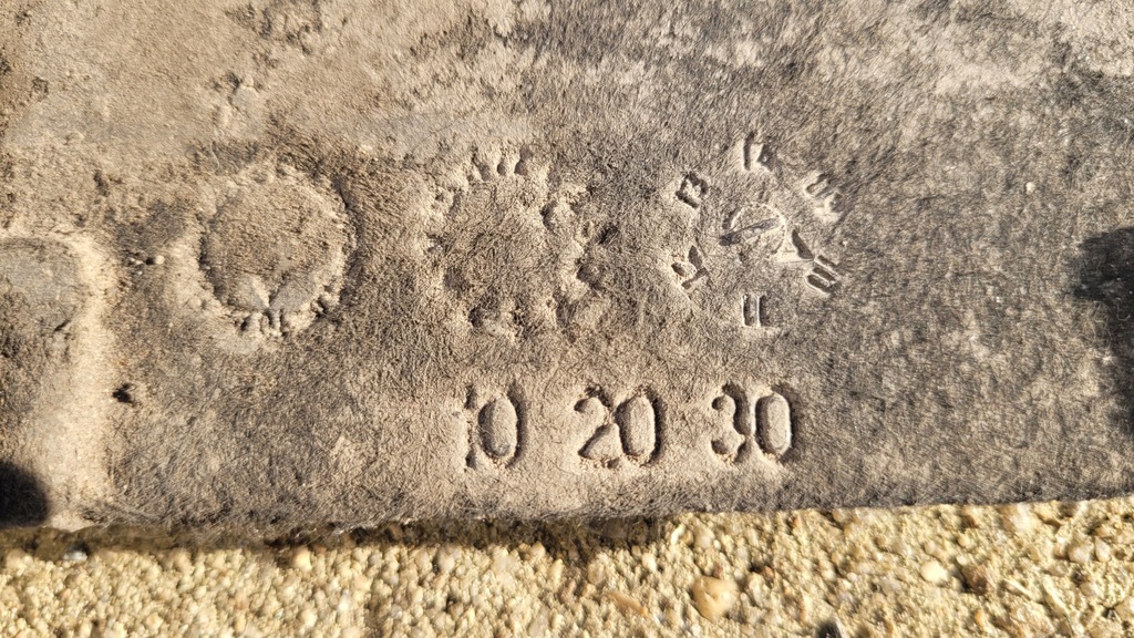 фото №14, Audi a8 d4 захист плита коробки 4h0825235l