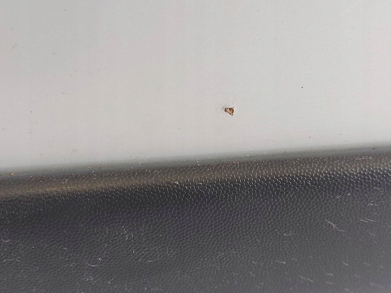 фото №9, Двері лівий задня задні alhambra i sharan 7v8, 7v9