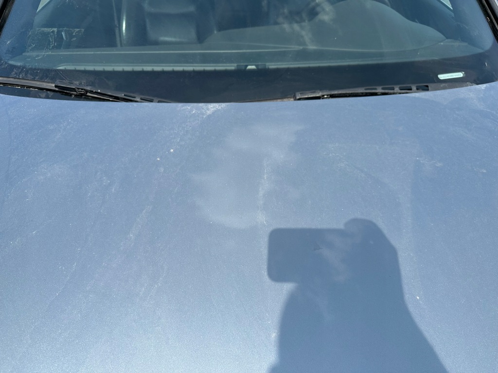 фото №5, Капот крышка двигателя audi a6 c6 ly7g lubelskie