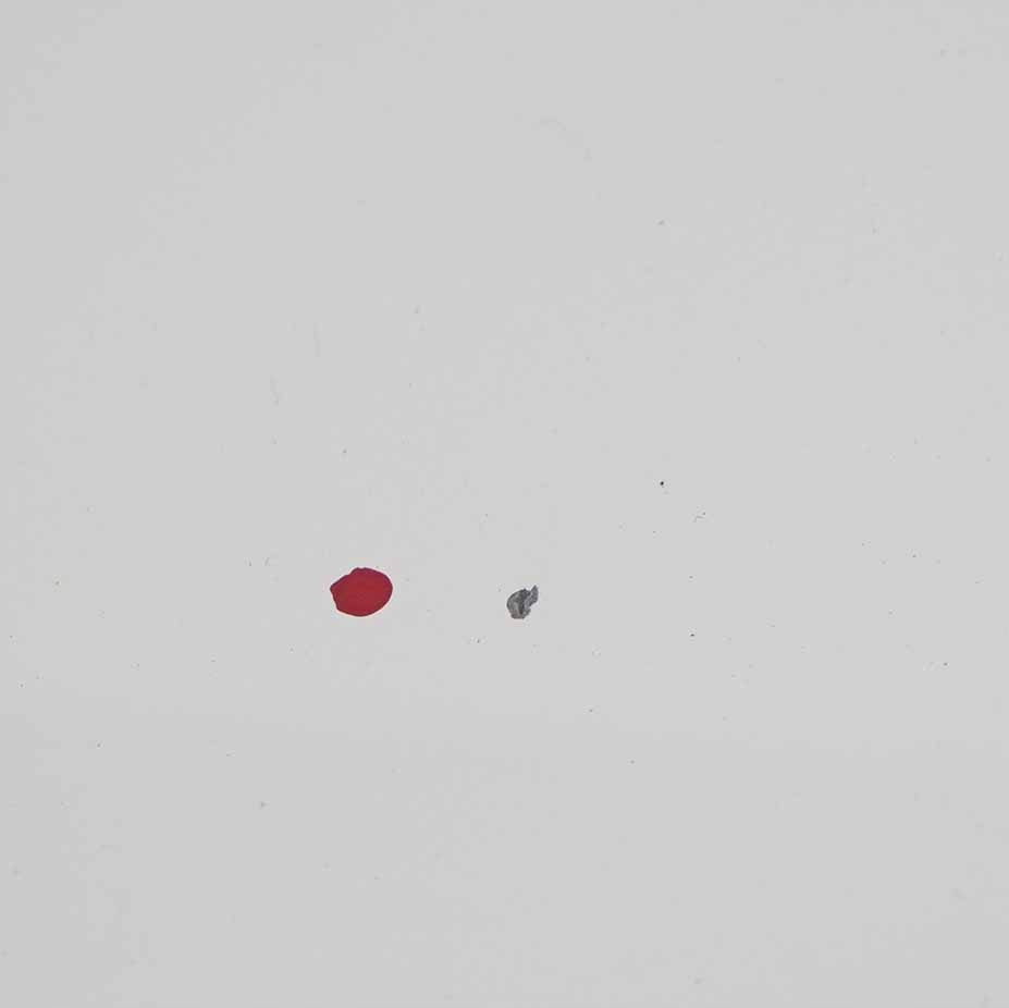 фото №12, Citroen berlingo peugeot partner ii капот двигателя