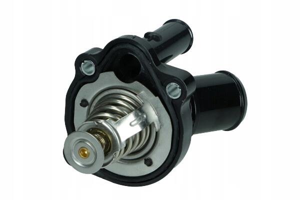 Febi bilstein 100232 термостат Доставка